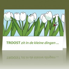Troost