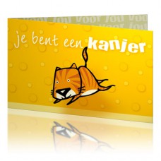 Jij is Liefje: Je bent een kanjer