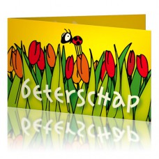 Jij is Liefje: Beterschap tulpen