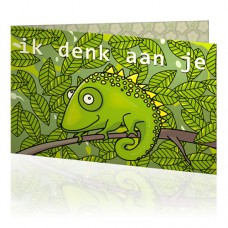 Jij is Liefje: Salamander