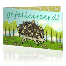 Jij is Liefje: Gefeliciteerd egel