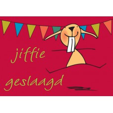 Postkaart: Jiffie geslaagd