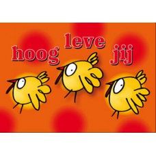 Postkaart: Hoog Leve Jij
