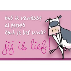 Postkaart: Vandaag al gezegd?