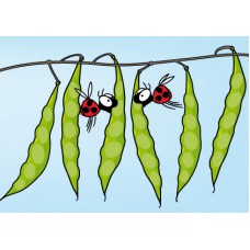 Postkaart: Etende beesies