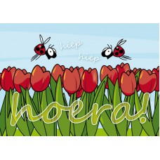 Postkaart: Hiep hiep hoera