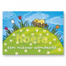 Postkaart: Een nieuw wondertje