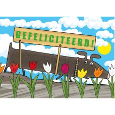 Postkaart: gefeliciteerd!