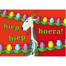 Postkaart: hiep hiep hoera!