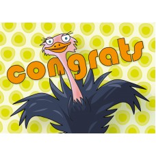 Postkaart: congrats