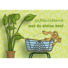 Postkaart: gefeliciteerd met de kleine boef