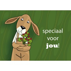 Postkaart: Speciaal voor jou!