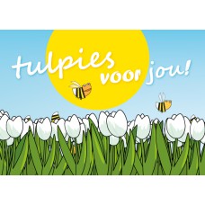 Postkaart: Tulpies voor jou!
