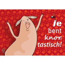 Postkaart: Je bent knortastisch!