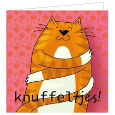 Vierkante kaart: Knuffeltjes